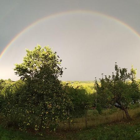 Biohof Koller Villa Badafalva Kültér fotó