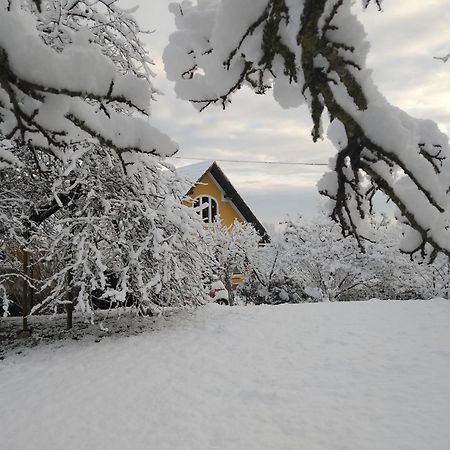 Biohof Koller Villa Badafalva Kültér fotó