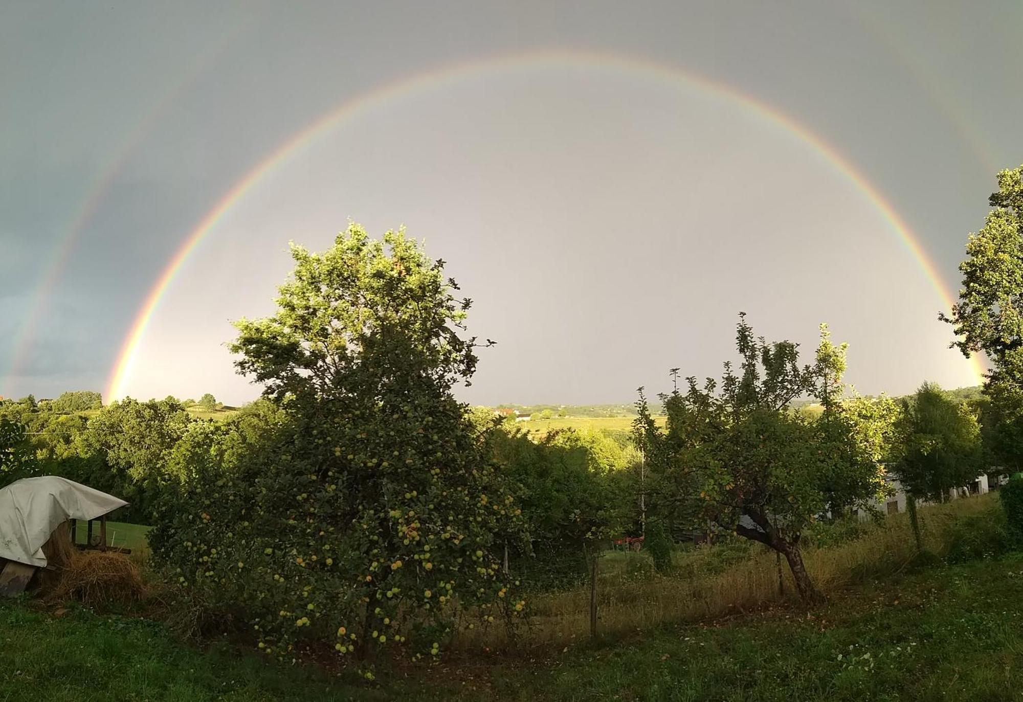 Biohof Koller Villa Badafalva Kültér fotó