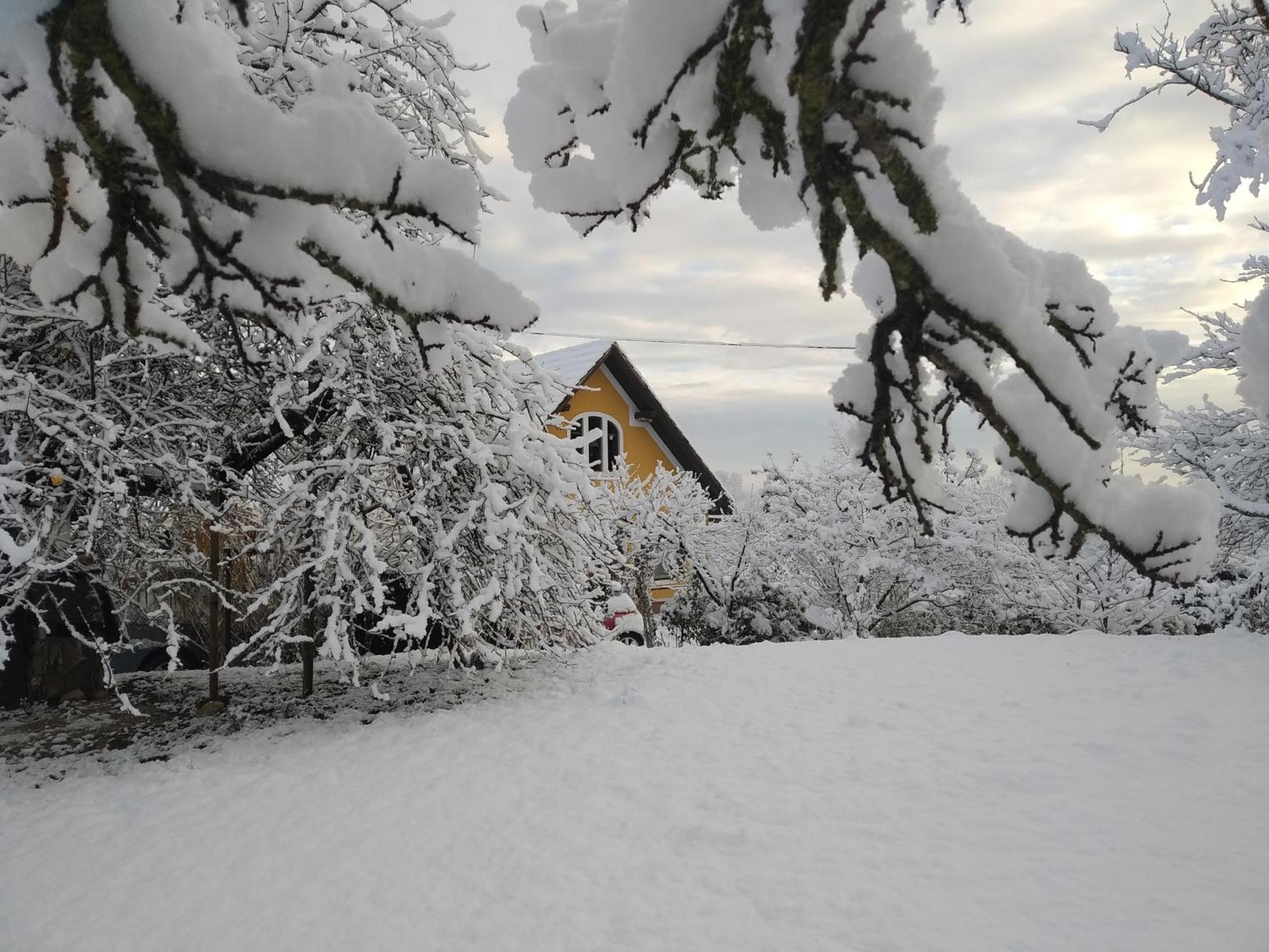 Biohof Koller Villa Badafalva Kültér fotó