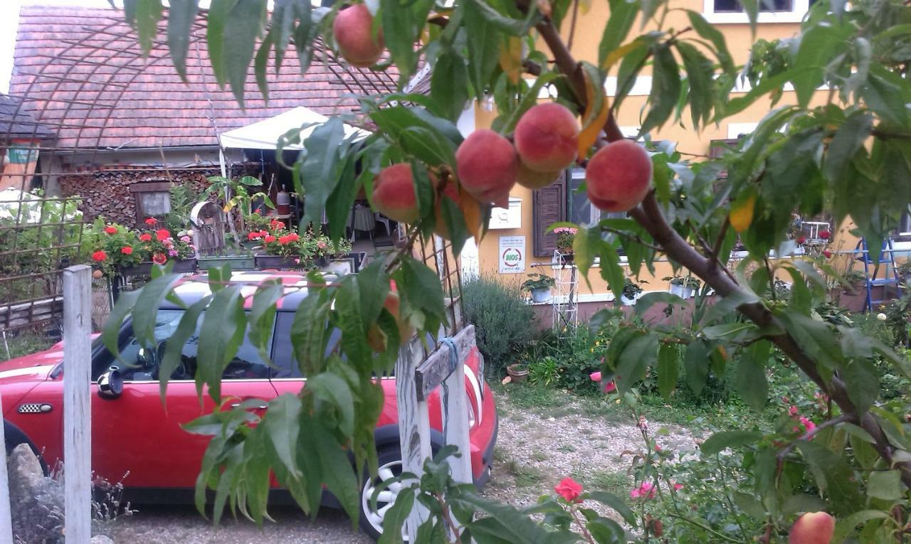 Biohof Koller Villa Badafalva Kültér fotó